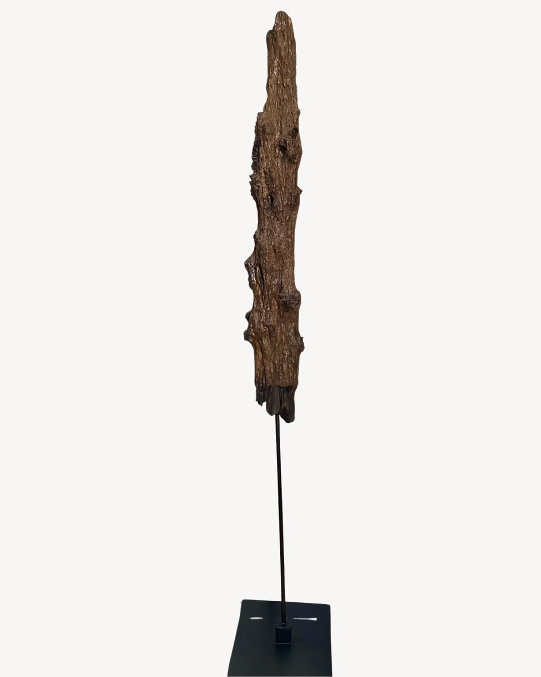 Naturfragment