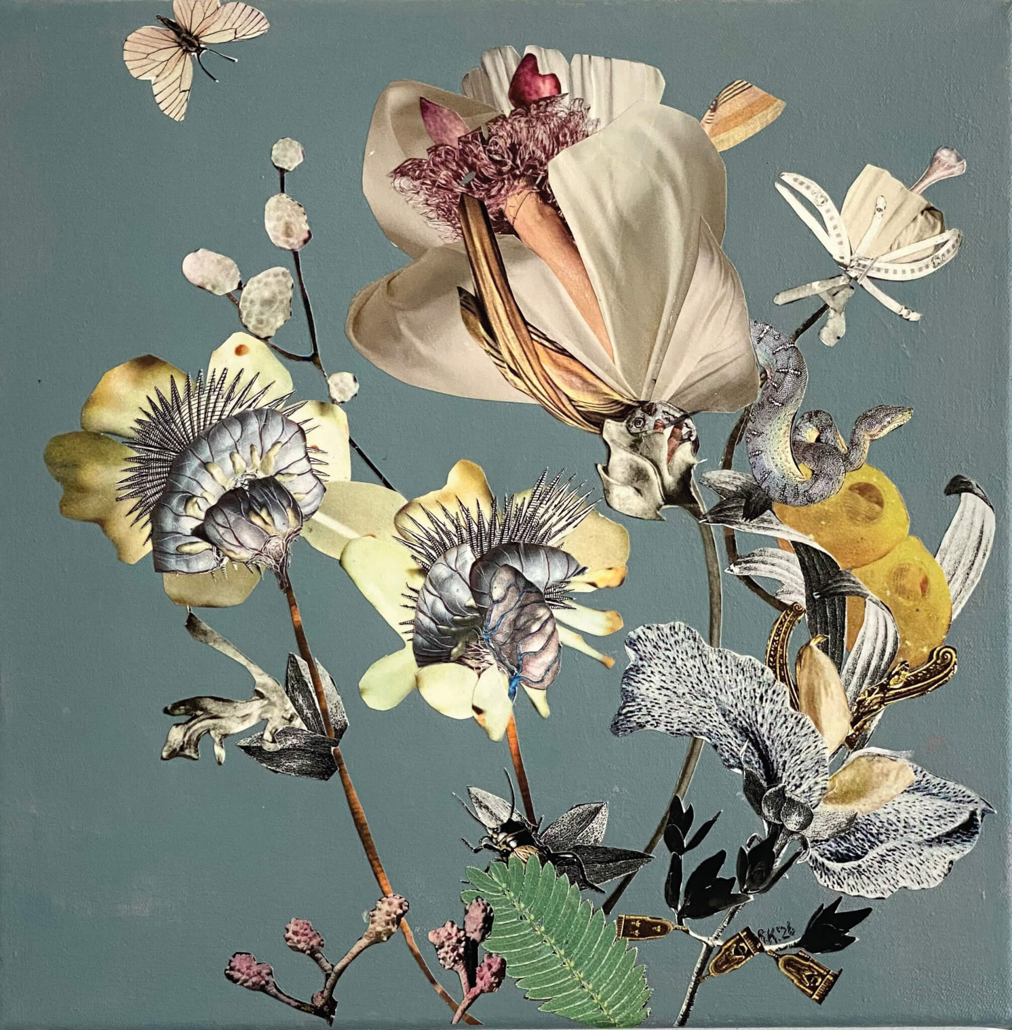 Werk von Renata Kos: Bloom: Blush