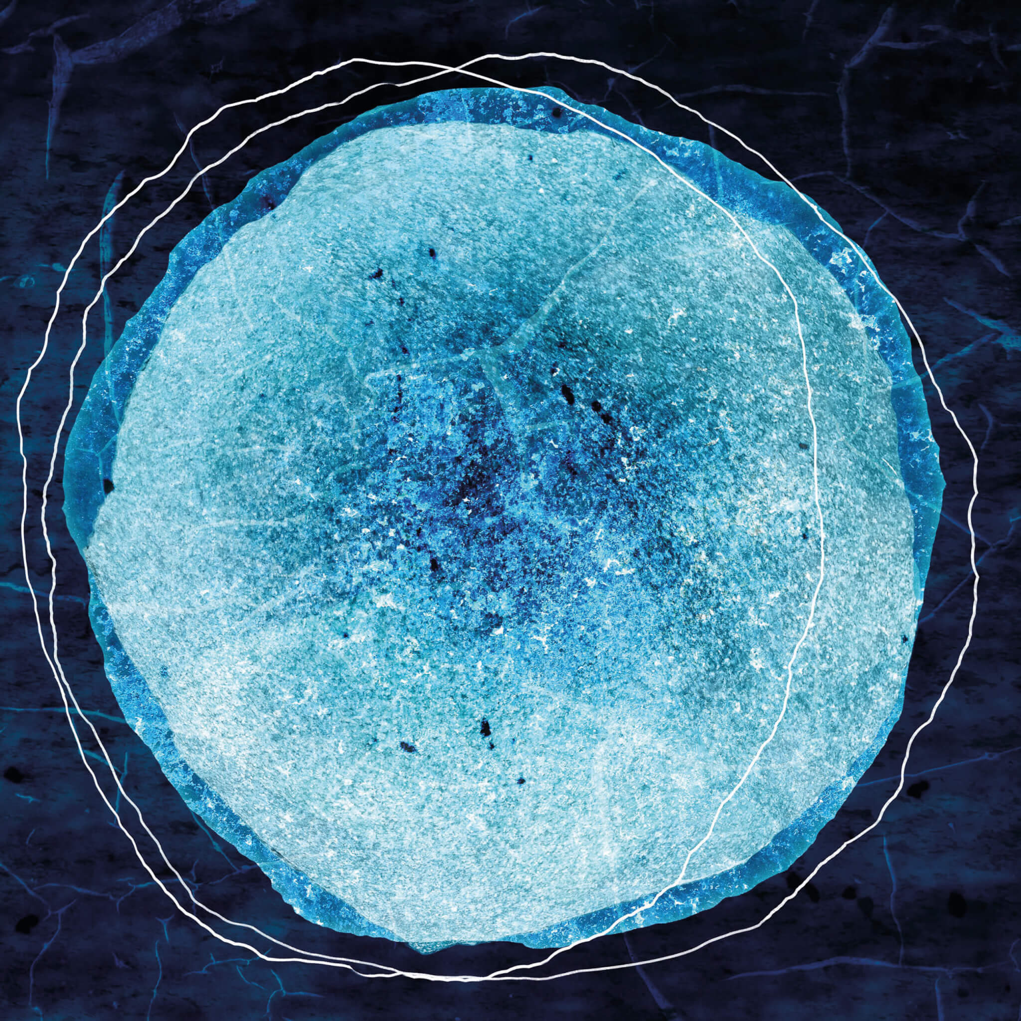 Werk von Dominique Raack: Blauer Planet